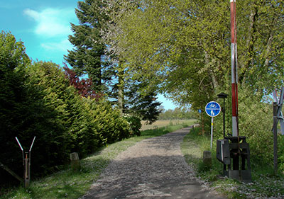 Einst eine Bahntrasse, heute ein Radweg von Burgsteinfurt nach Metelen