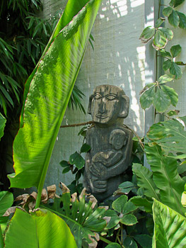 Ein Kultmal aus dem Dschungel Borneos – im Gewächshaus des Schlossgartens zu sehen (Oldenburg)