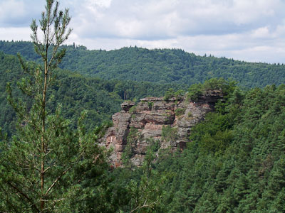 Buntsandsteinfelsen treten aus dem Grün des Pfälzerwaldes hervor