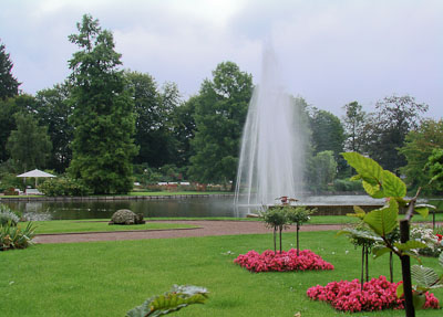 Blick in den Rosengarten