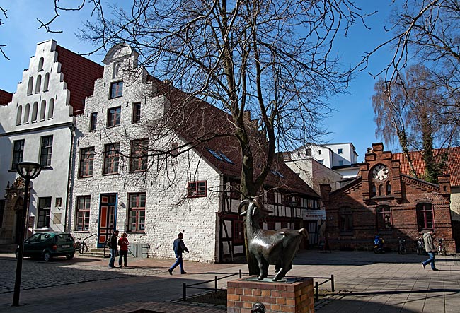 Rostock - Ziegenmarkt mit Brunnen, Kantorat und links daneben der Alten Münze