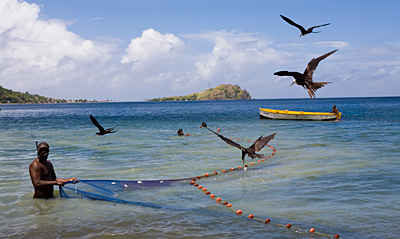 Dominica