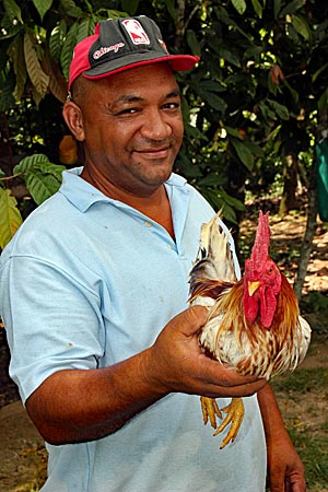 Dominikanische Republik - Teilnehmer am Hahnenkampf mit seinem Tier