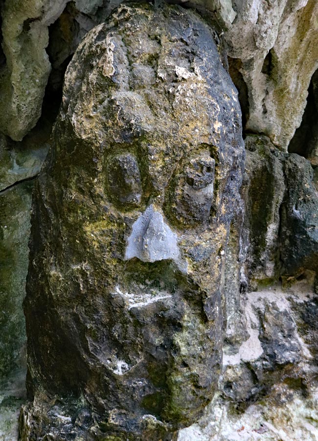 Dominikanische Republik - Steinkopf