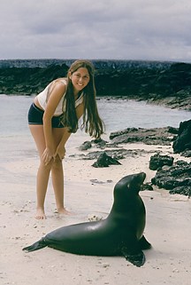 Galapagos / Seelöwe