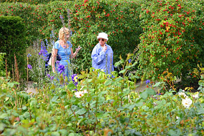 England Alnwick Ziergarten