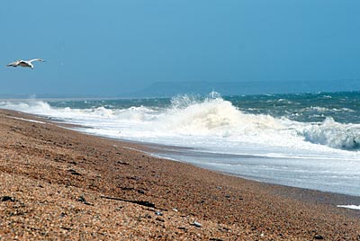 Jurassic Coast - Chesil Beach