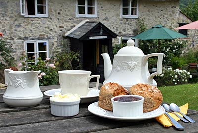 Jurassic Coast - Cream Tea in Branscombe