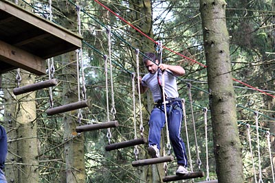 England - Lake District - Grizedale Forest