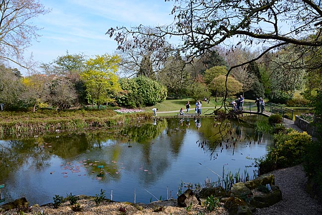 England - Way of the Roses - Burnby Hall and Gardens in Pocklington