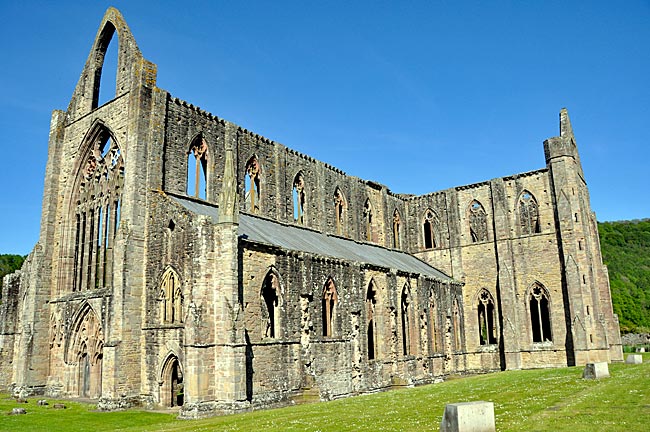 Wales - Am Nachmittag erstrahlt die Fassade von Tintern Abbey im warmen Sonnenlicht