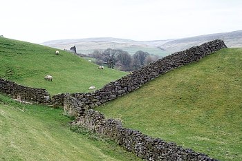 England Yorkshire Trockensteinmauern