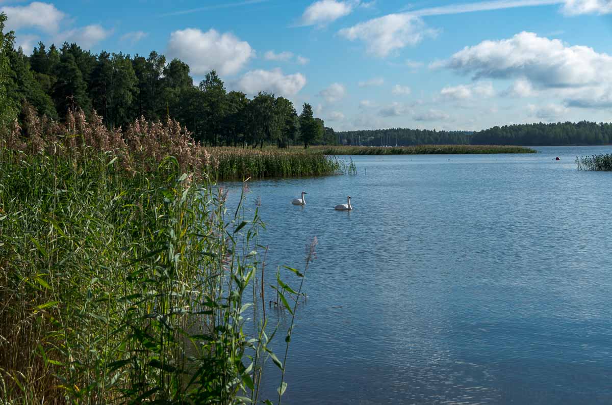 Entspannung in der finnischen Seenwelt