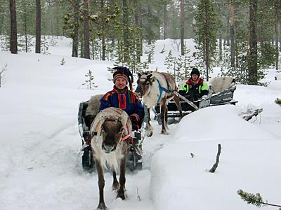 Finnland - Schlittenfahrt