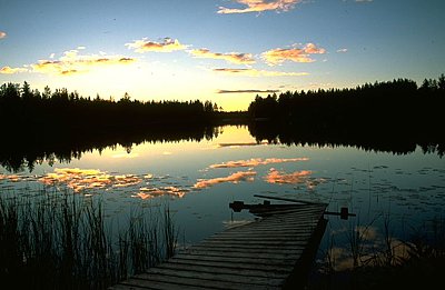 Finnland Bärenrunde Abend