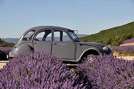 Die Ente wird 70: Das ist kein Auto, das ist eine Lebensart 