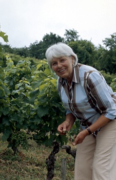 Frankreich Saint-Emilion im Weinberg