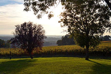 Frankreich - Gascogne - Die stille Heimat des Armagnacs: Nachmittagsstimmung in den Weinlagen bei Mansencome in der Nähe von Condom