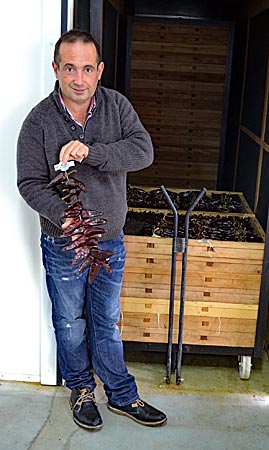 Frankreich - Baskenland - Landwirt und Espelette-Produzent Ramuntxo Pochelu zeigt eine Girlande mit Schoten, die im 50 Grad warmen Ofen waren und jetzt nur noch gemahlen werden müssen