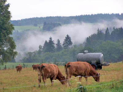 Frankreich - Limousin - Verwunschene, nebelverhangene Landschaft Richtung Bujaleuf