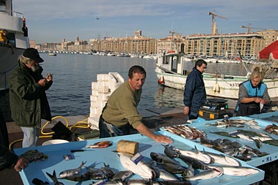 Marseille - Fischmarkt am Alten Hafen
