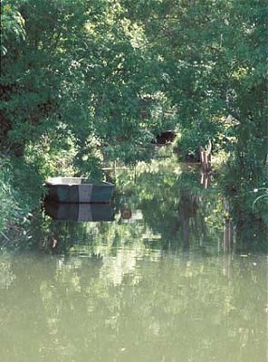 Frankreich Poitou Sumpflandschaft