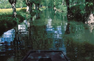 Frankreich Poitou Wasserallee