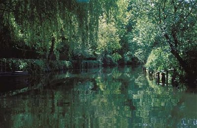 Frankreich Poitou grünes Venedig