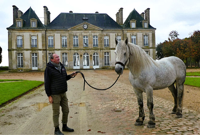 Haras du Pin, Percheron-Hengst Echo de Vanoise posiert vor dem Schloss für den Gestütsdirektor und seine fürstlichen Gäste