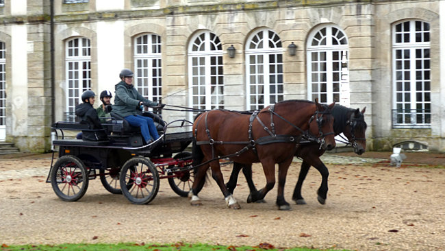 Haras du Pin, Heute kann man hier das Fahren lernen