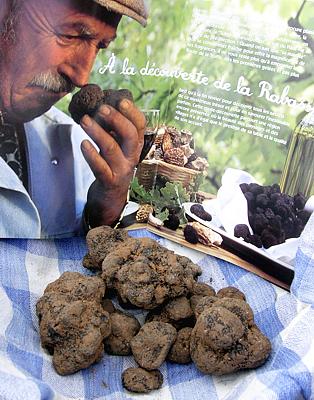 Provence - Trüffelfest Werbeplakat