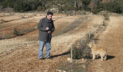 Provence - Landschaft