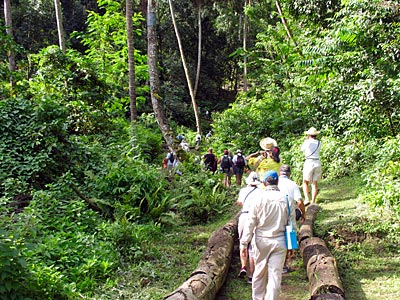 Marquesas Inseln - Nuku-Hiva-Taipivai-Wanderung