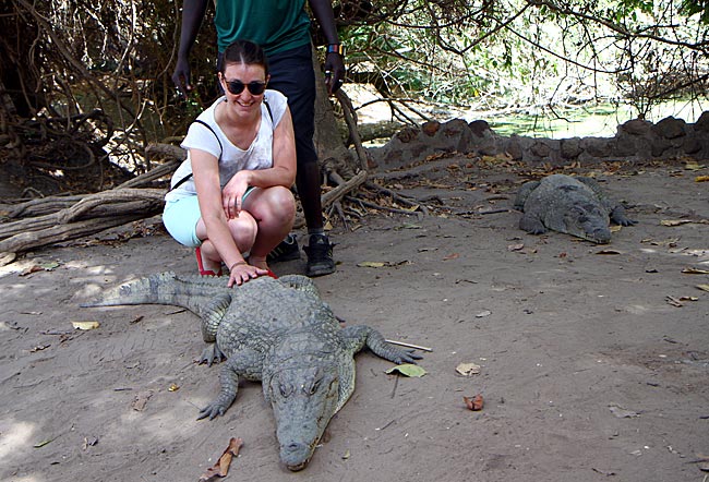 Gambia - Krokodil-Streicheln am Kachikally Crocodile Pool
