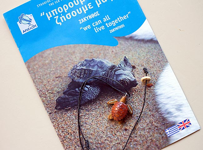 Zakynthos, Ionische Inseln, Griechenland - Infomaterial über Meeresschildkröten