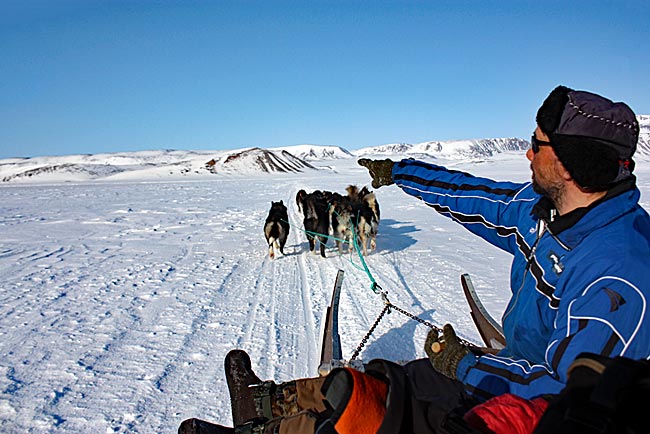 Mit Schlittenhunden durch Grönland