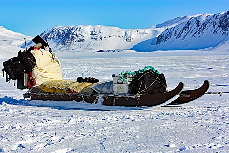 Grönland - Schlitten