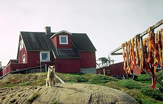Grönland Haus