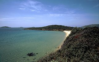 Griechenland Andros Badebucht