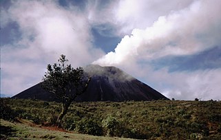 Guatemala Antigua Pacayovulkan