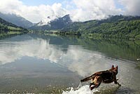 Bodensee-Königssee-Radweg