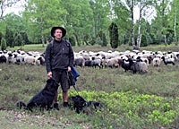 Auf schnuckeligen Pfaden. Auf dem Heidschnuckenweg durch die Lneburger Heide