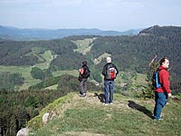 Deutschland - Wandern - Durch Wildnis und Weinberge. Wanderrouten durch den nördlichen Schwarzwald