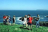 Fossile Spuren und ein verwunschener Garten. Unterwegs auf Valentia Island