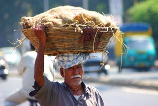 Indien Bangalore lLstenträger