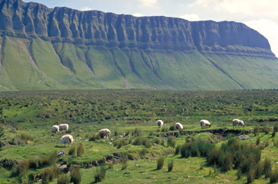 Der Benbulben bei Sligo