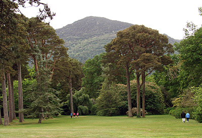 Irland: Landschaftspark Muckross Gardens