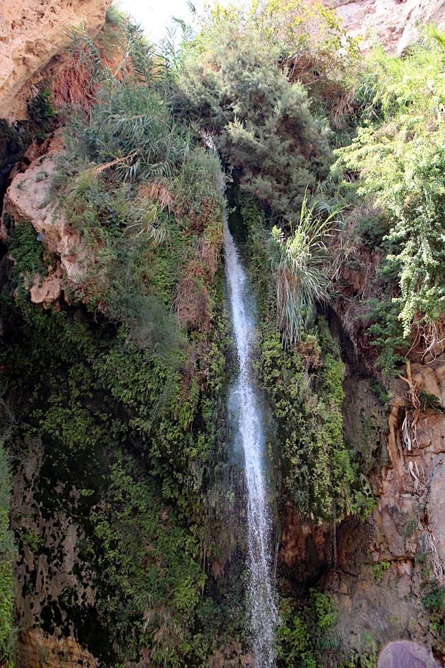 Israel - König-David-Wasserfall in der Oase En Gedi