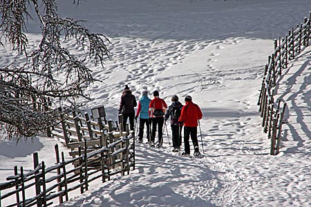 Italien - Eggental - Schneeschuhwanderer unweit von Deutschnofen