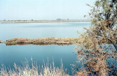 Italien - Grado - Blick über die Lagune